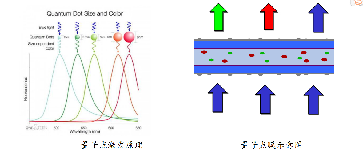 显示-无镉量子点膜-2.jpg